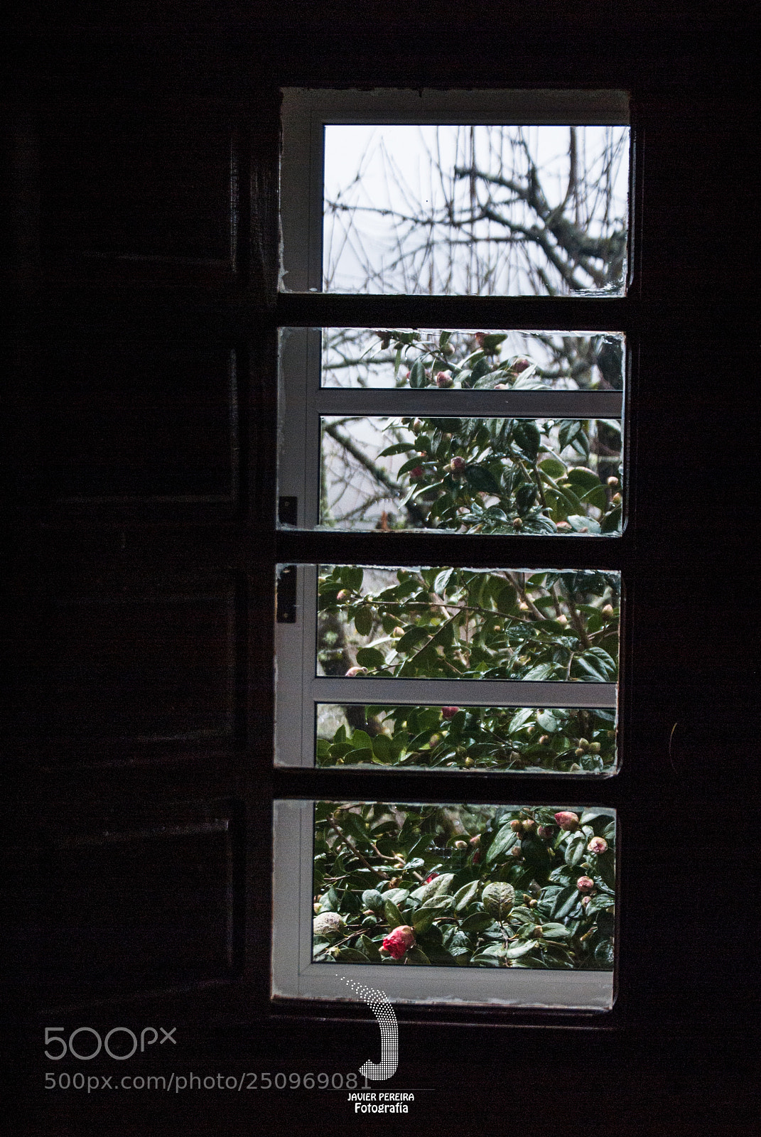Nikon D3000 sample photo. Mirando al futuro photography