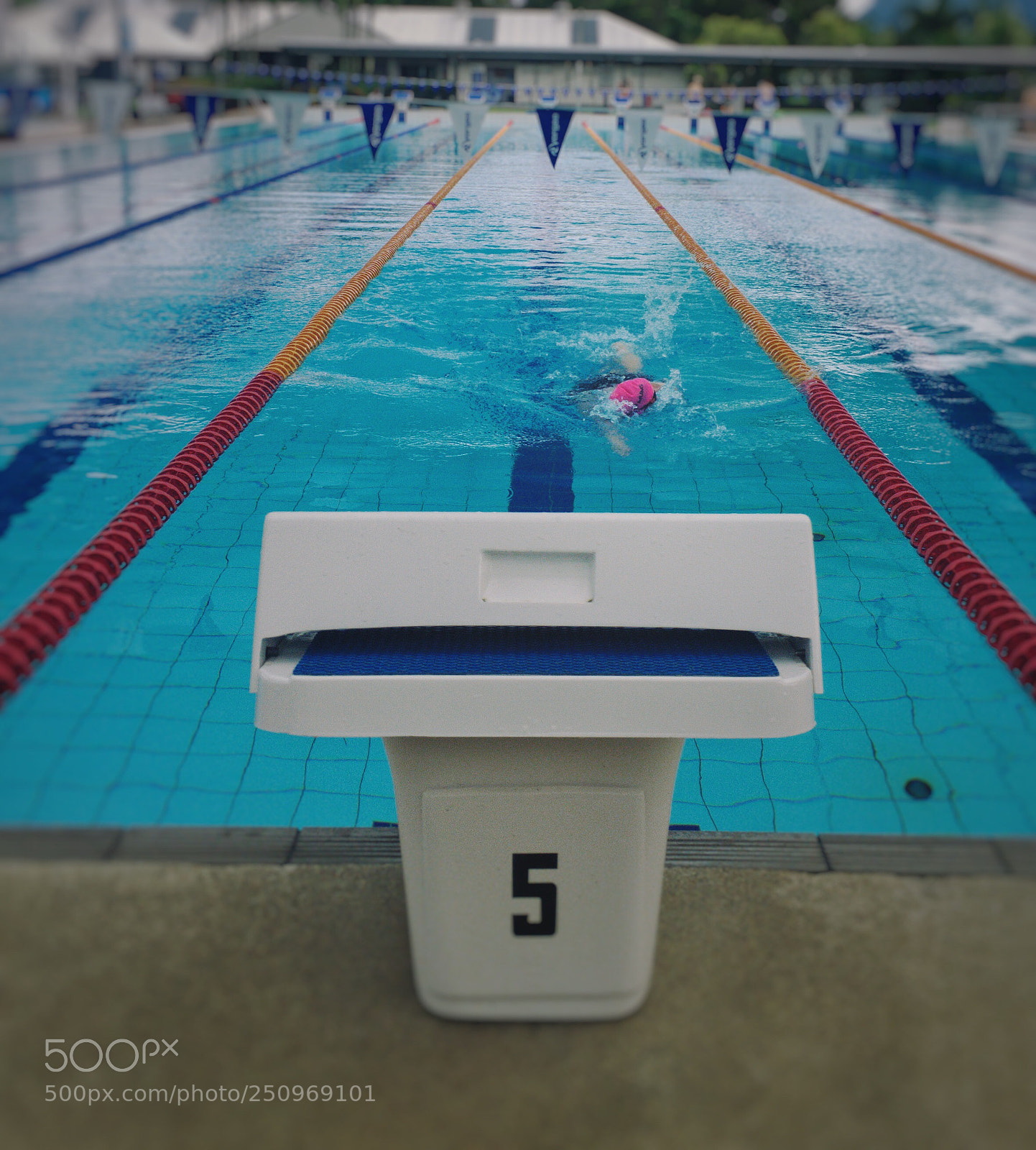 Apple iPhone 6s sample photo. Swimming photography