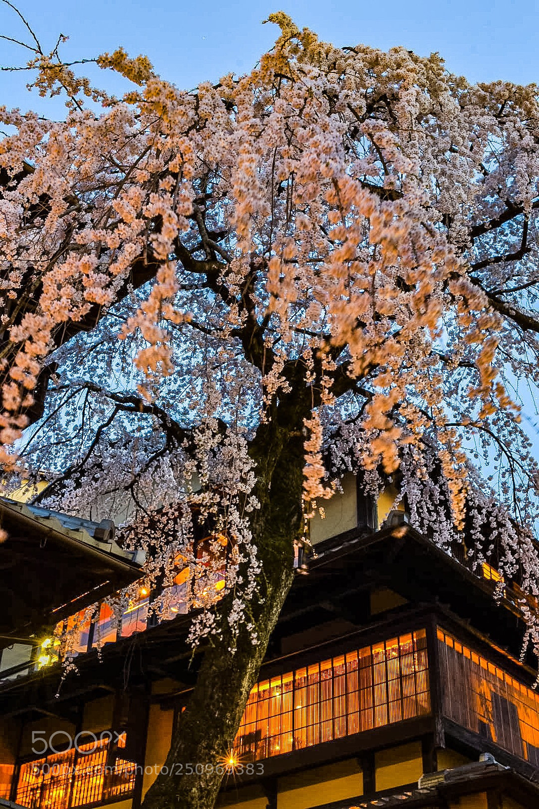 Nikon D7200 sample photo. 産寧坂 photography