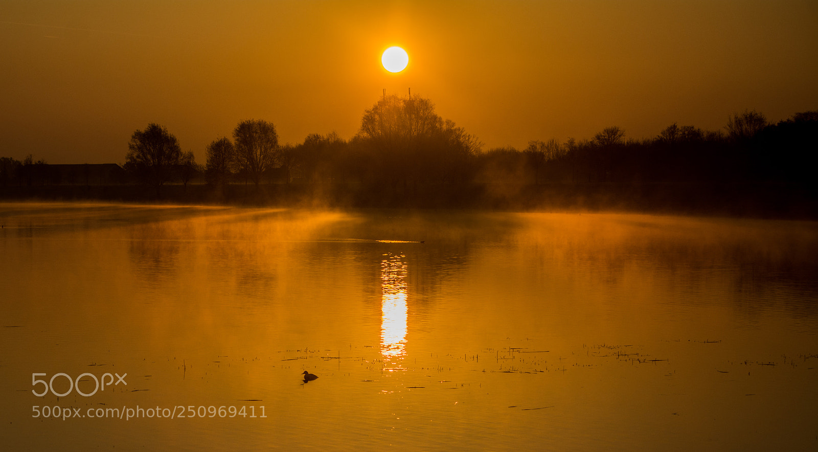 Nikon D7100 sample photo. My orange morning in photography
