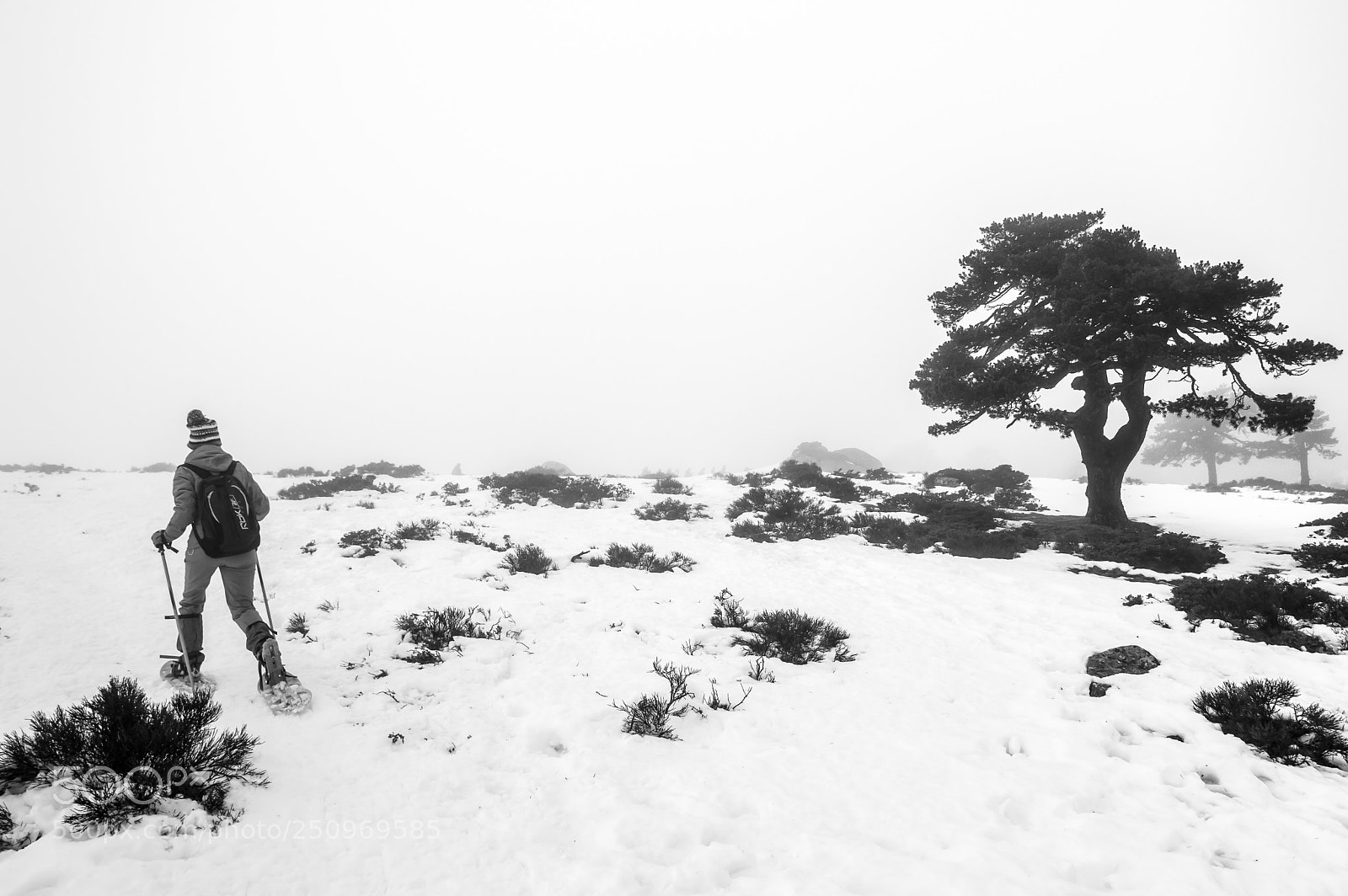 Nikon D3200 sample photo. White trekking photography