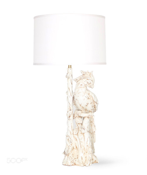 Canon EOS M3 sample photo. Italian majolica parrot lamp photography