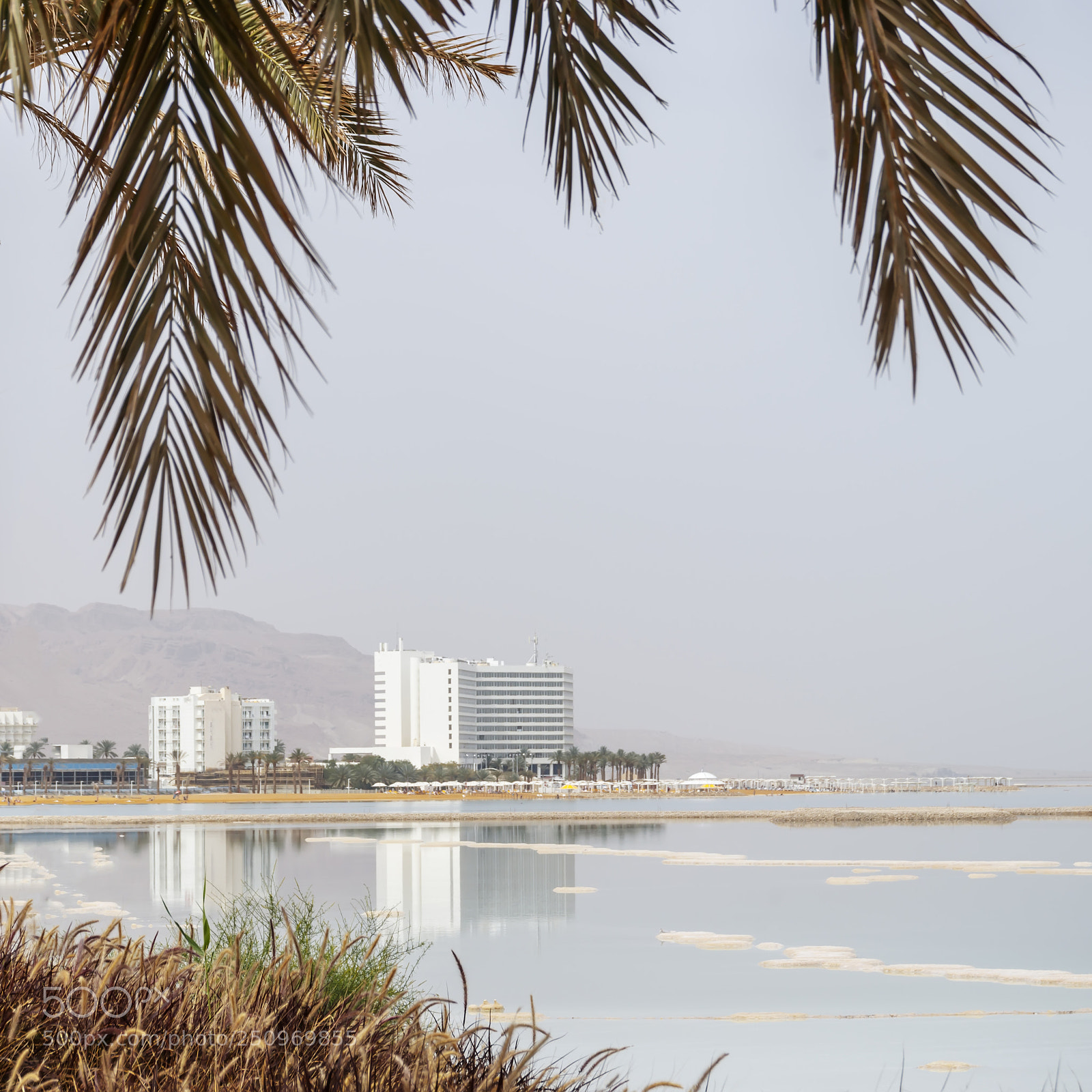 Canon EOS 80D sample photo. Reflection of hotel buildings photography