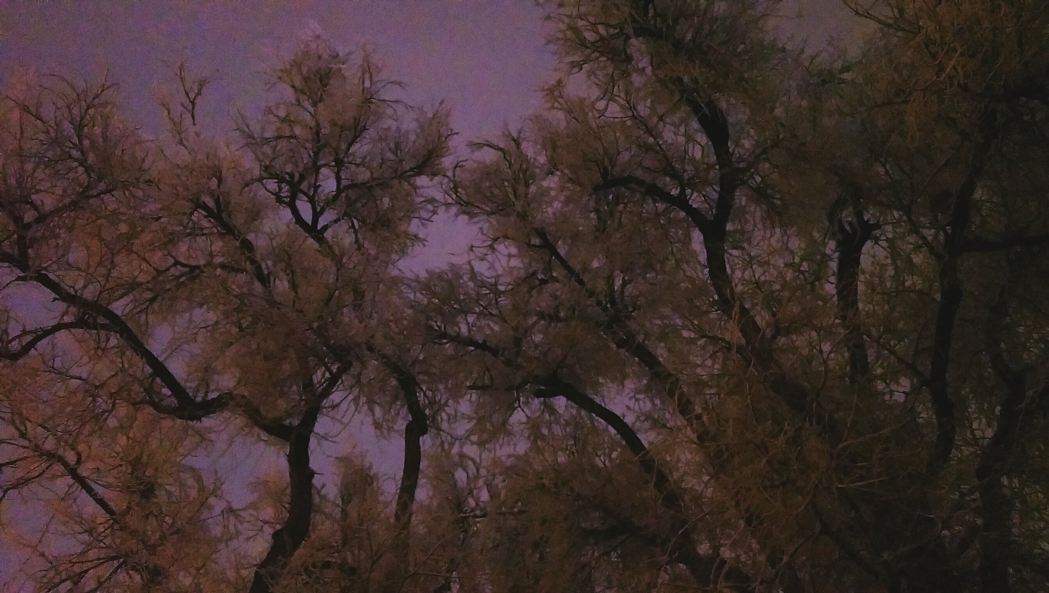 HTC ONE (M8) sample photo. Snowy night photography