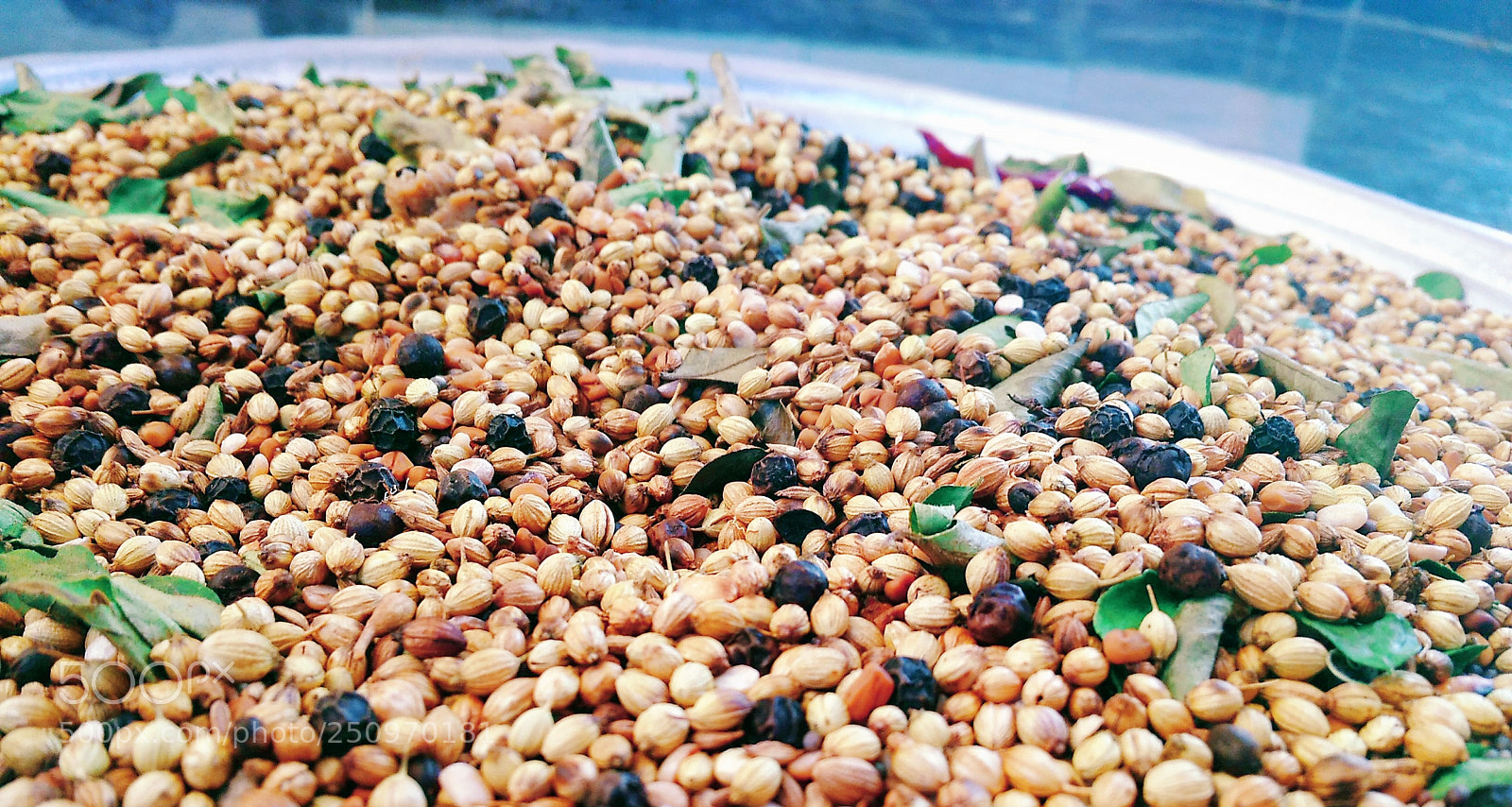 Xiaomi Redmi 4A sample photo. Tasty buds photography