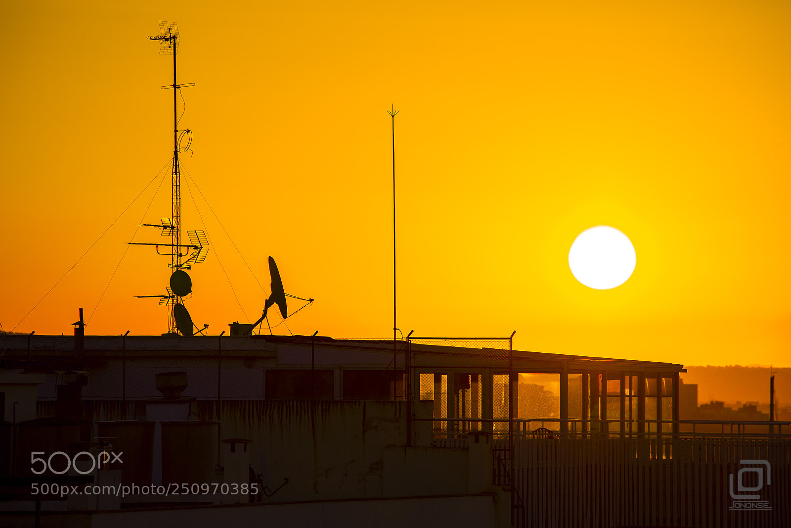 Canon EOS 5D Mark IV sample photo. Golden mornings photography