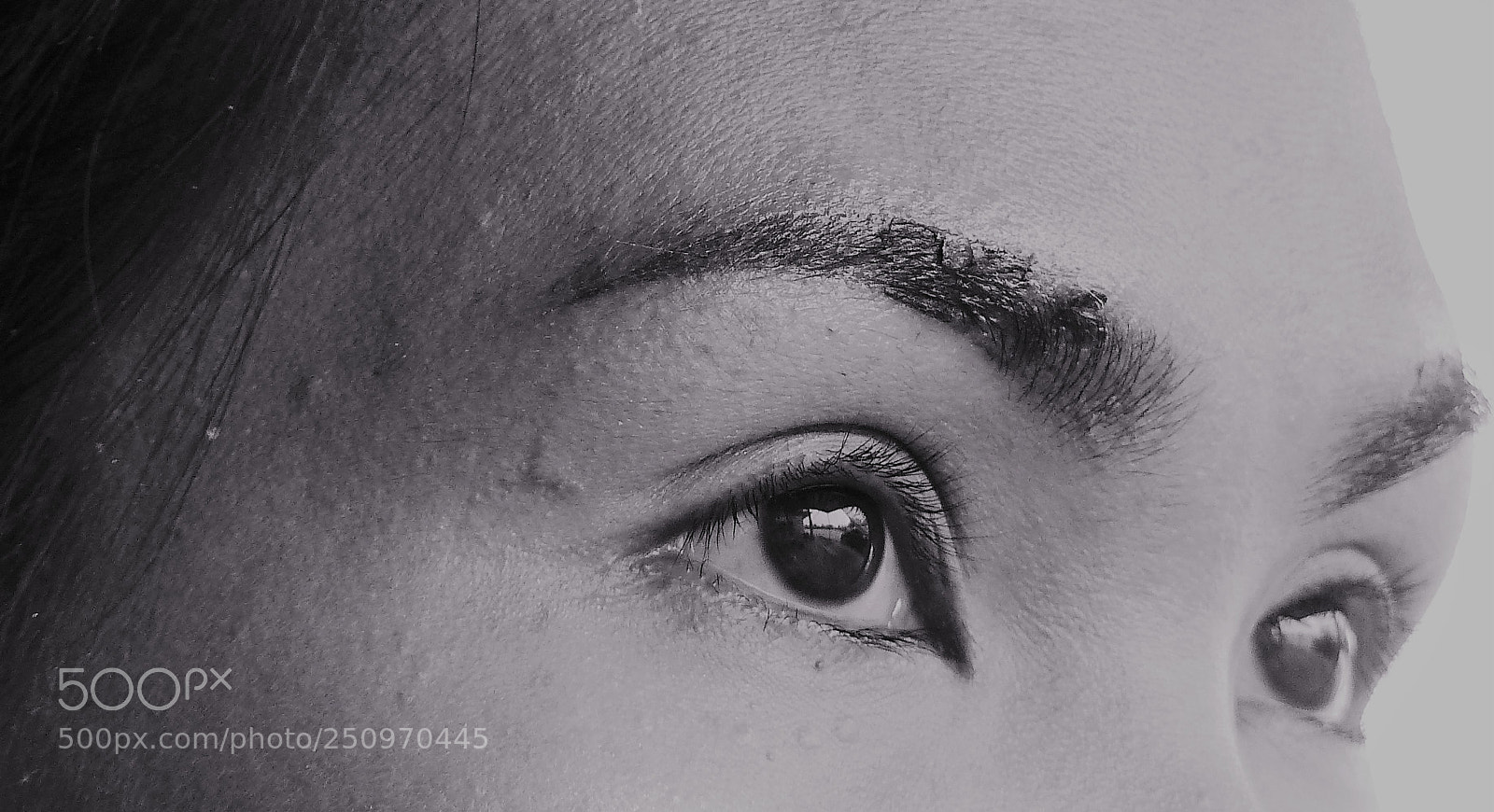 Panasonic Lumix DMC-FZ200 sample photo. Xperiment 51: perfection photography