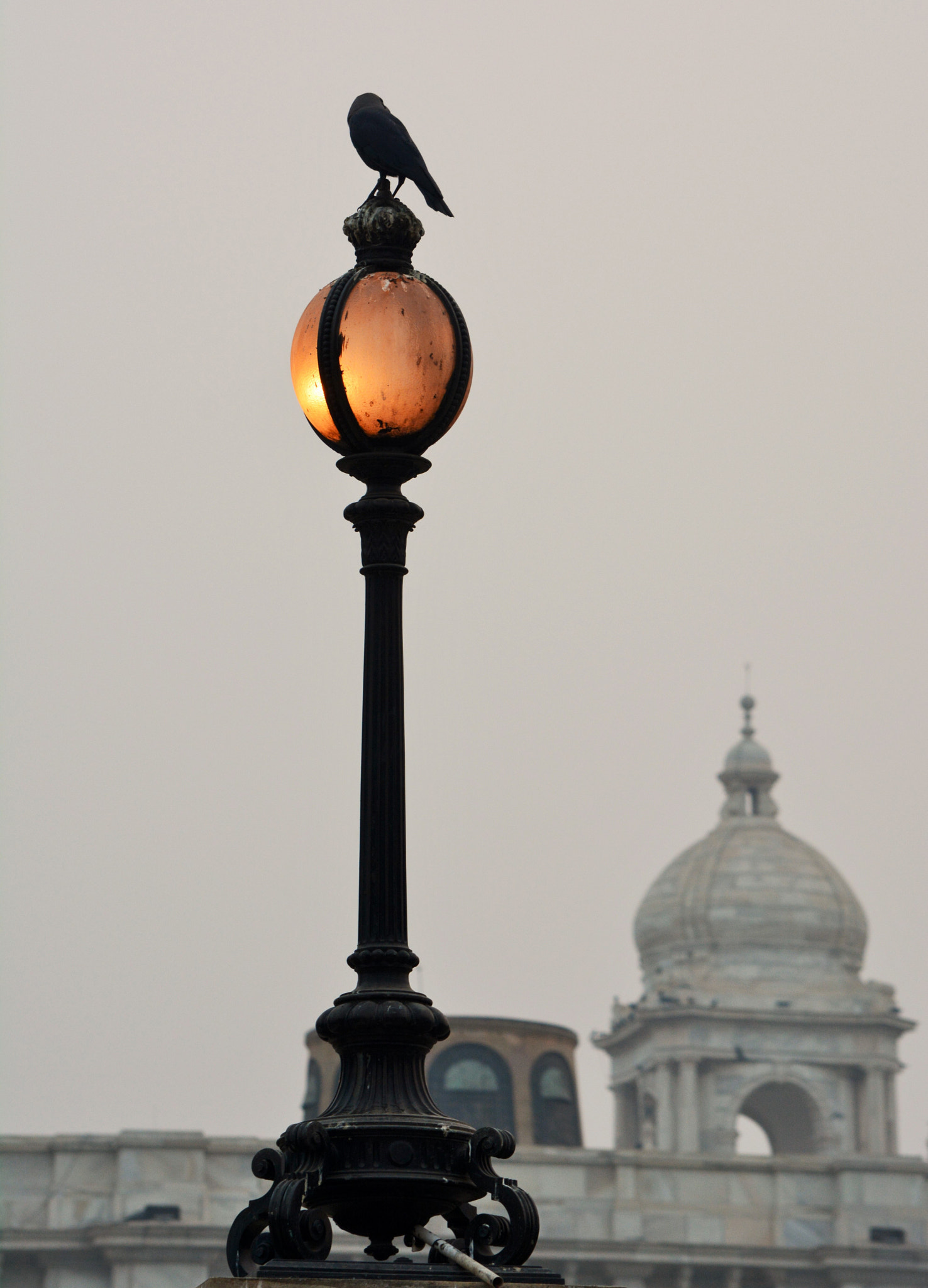 Nikon D5200 sample photo. Lamp stand photography