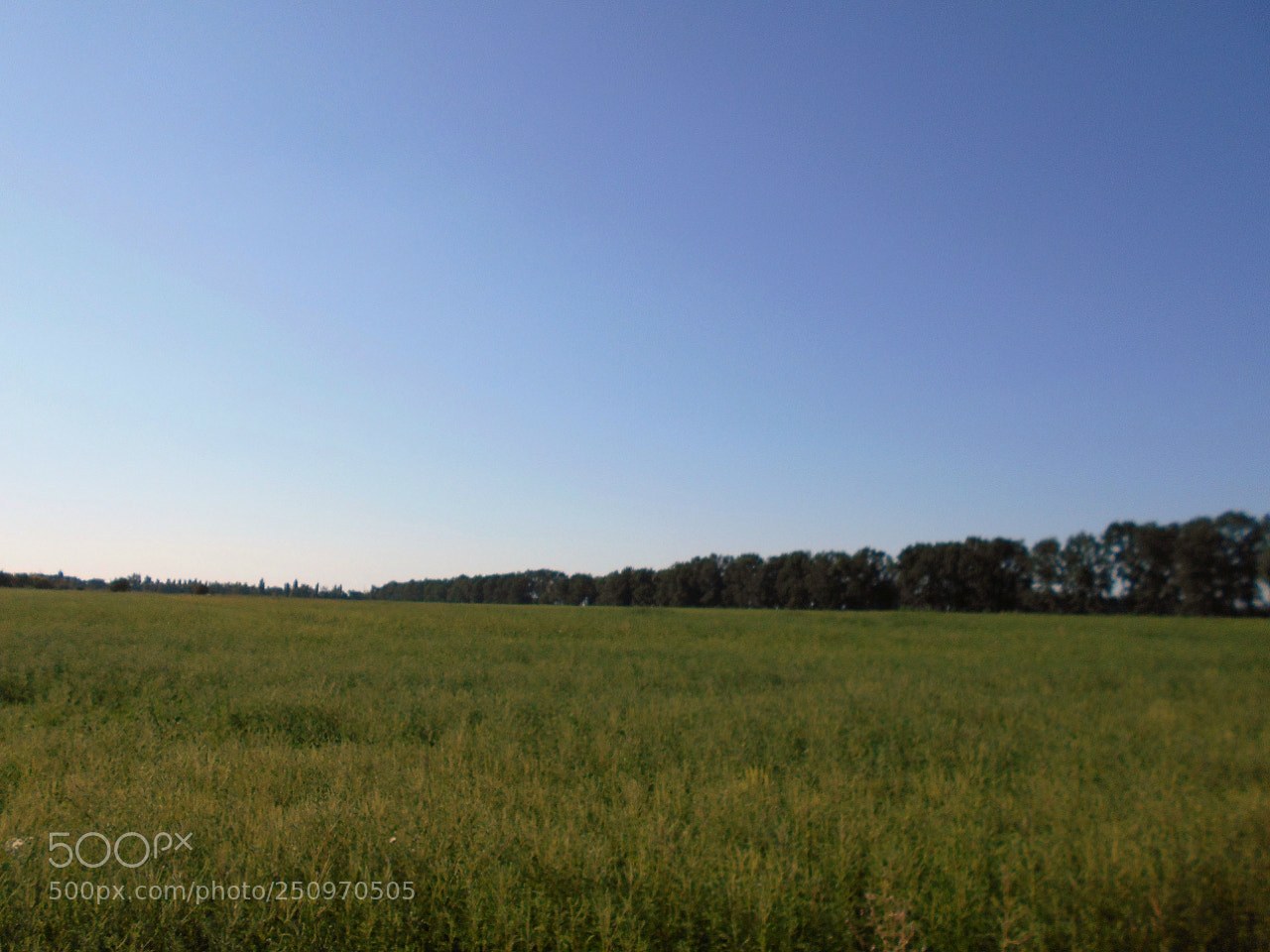 Nikon Coolpix A100 sample photo. Cb eaorig photography