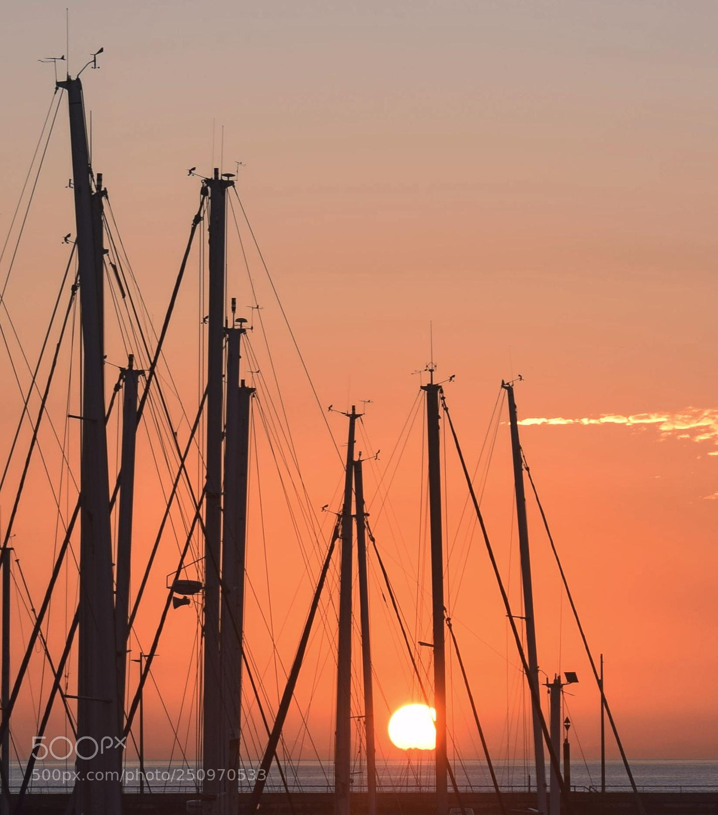 Nikon D5300 sample photo. MÁstiles al sol photography