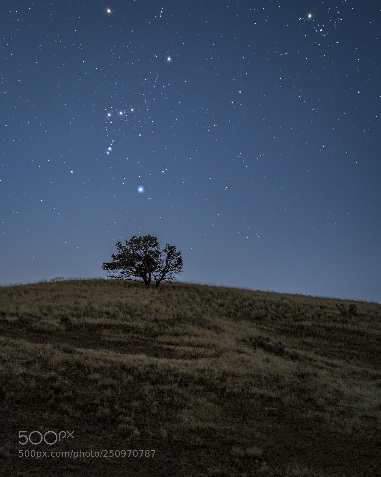 Sony a7R II sample photo. Twinkle photography