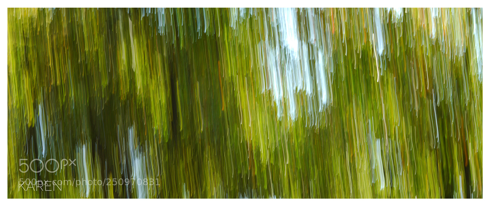 Sony a7R II sample photo. Willow.painting photography
