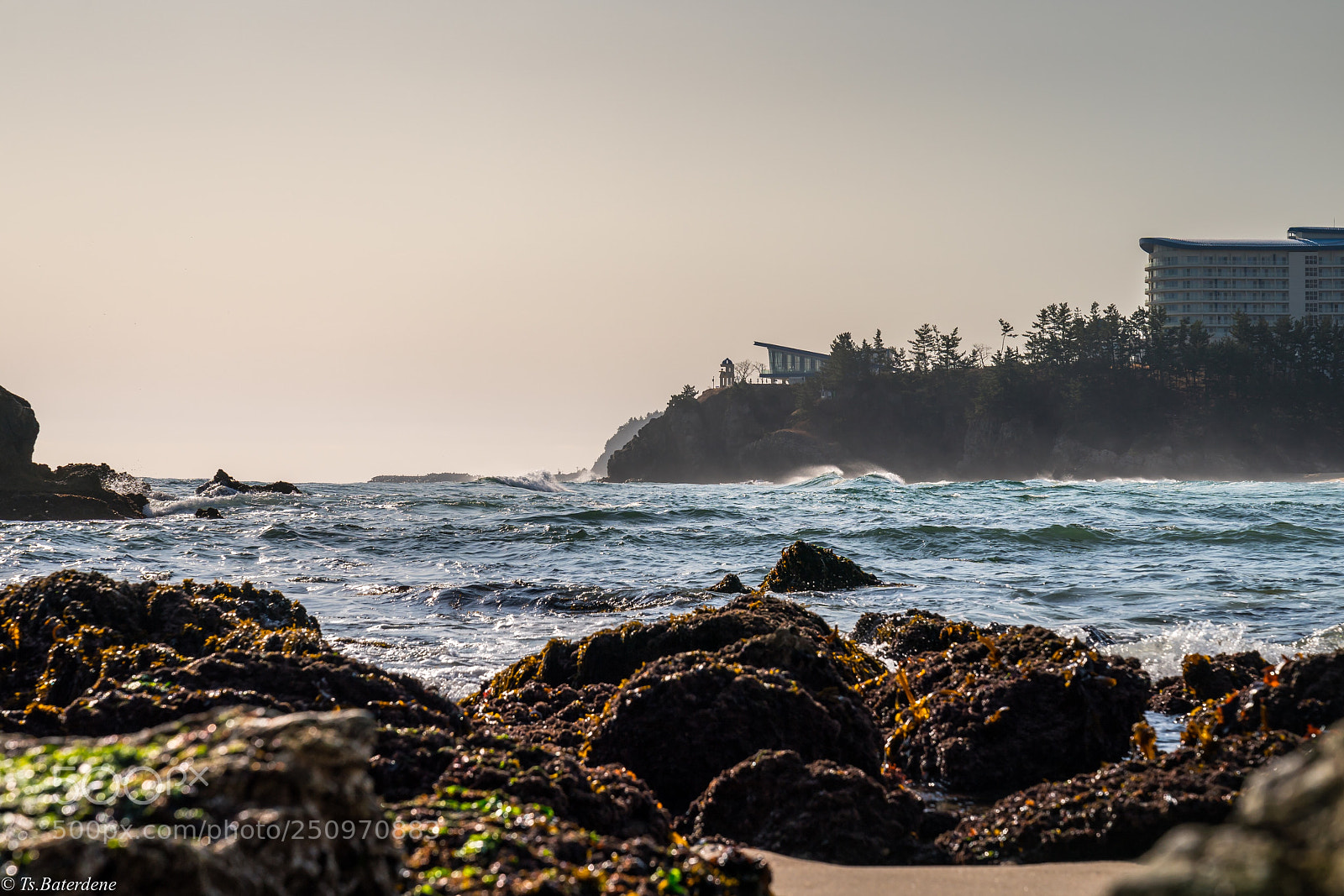 Sony a9 sample photo. Windy day photography