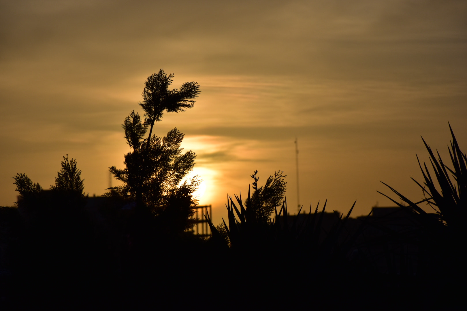 Nikon D5500 sample photo