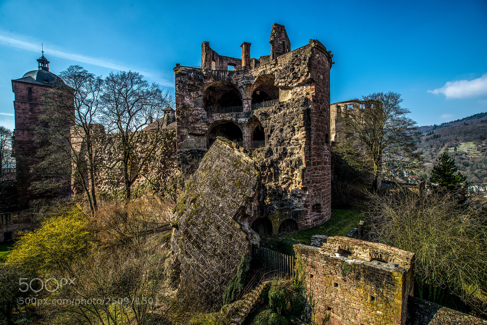 Nikon D800 sample photo. Heidelberg castle - broken photography