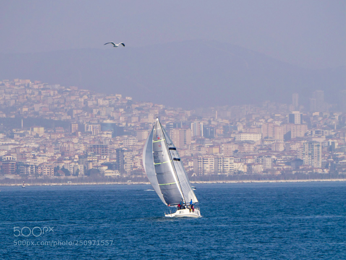 Sony a6000 sample photo. Race with the seagull photography