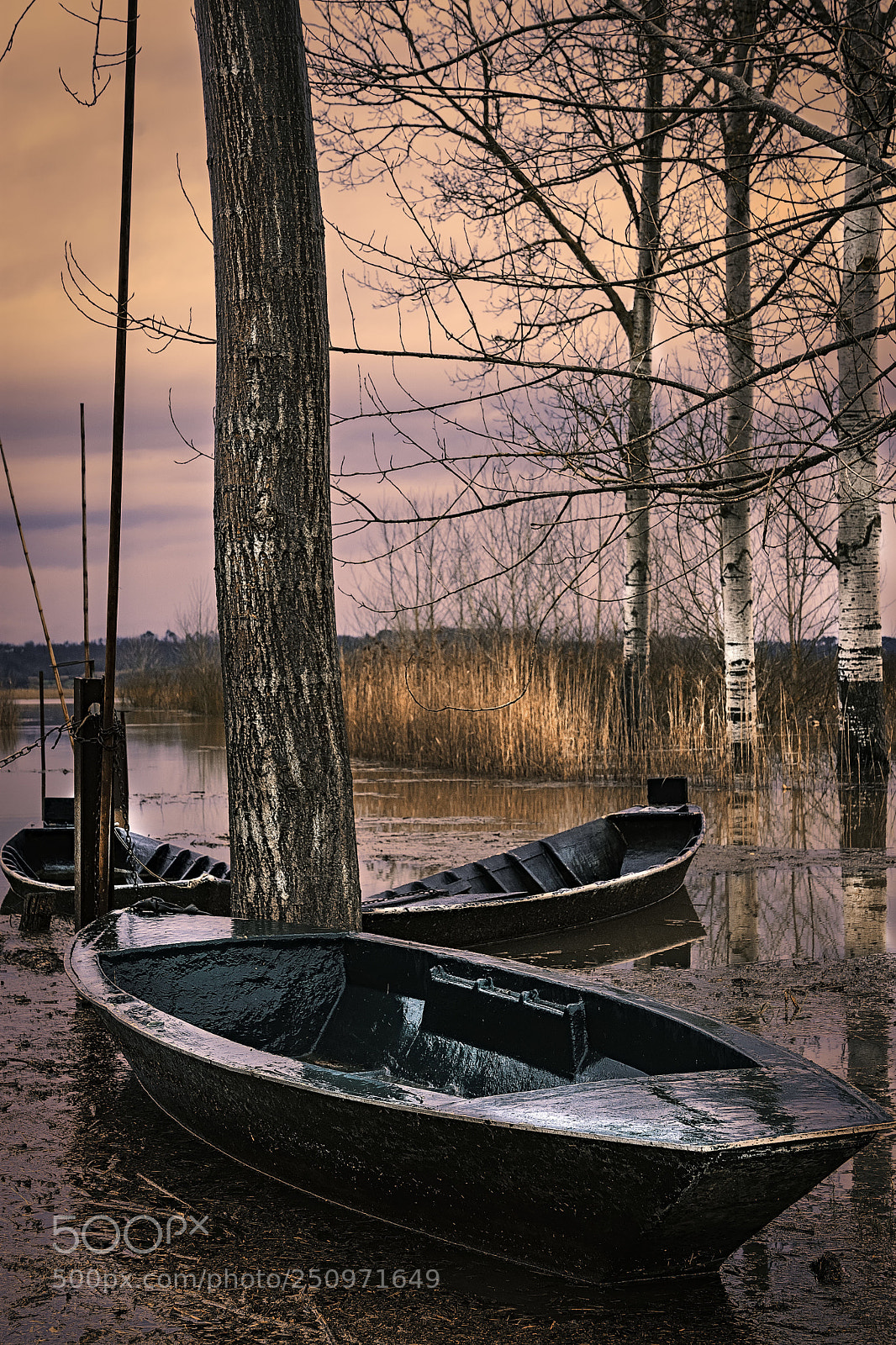 Nikon D7200 sample photo. Colors of sunrise  photography