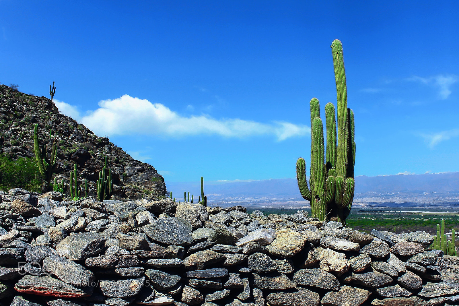Canon EOS 1100D (EOS Rebel T3 / EOS Kiss X50) sample photo. Andes argentine ruines de photography