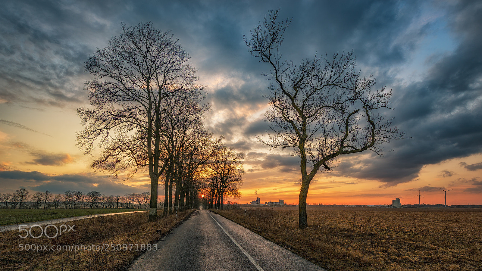 Nikon D810 sample photo. Dem sonnenuntergang entgegen photography