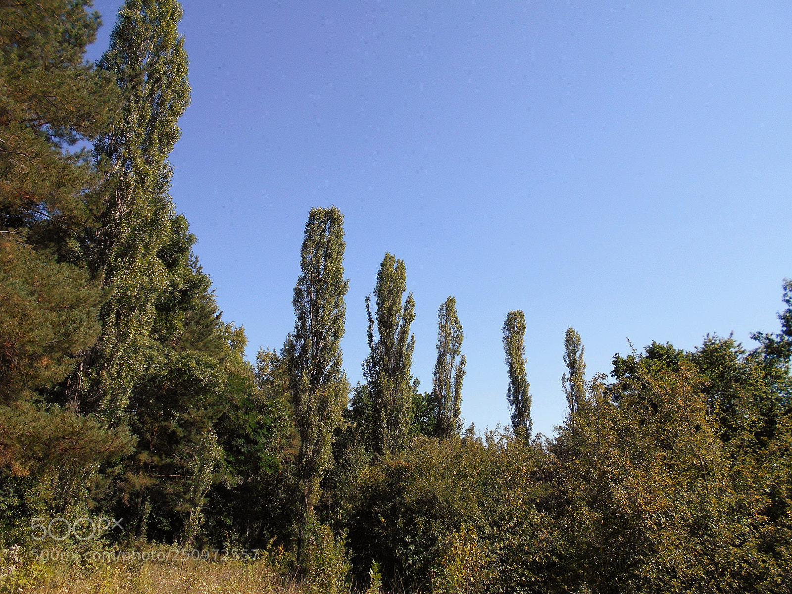 Nikon Coolpix A100 sample photo. Cb corig photography