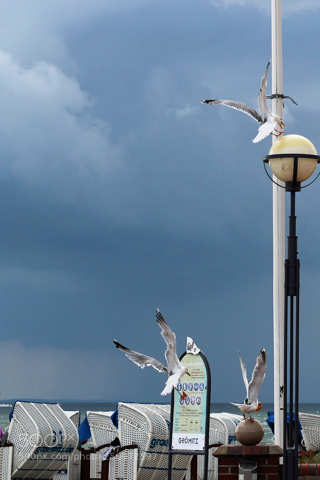 Canon EOS 100D (EOS Rebel SL1 / EOS Kiss X7) sample photo. Seagulls before the storm photography