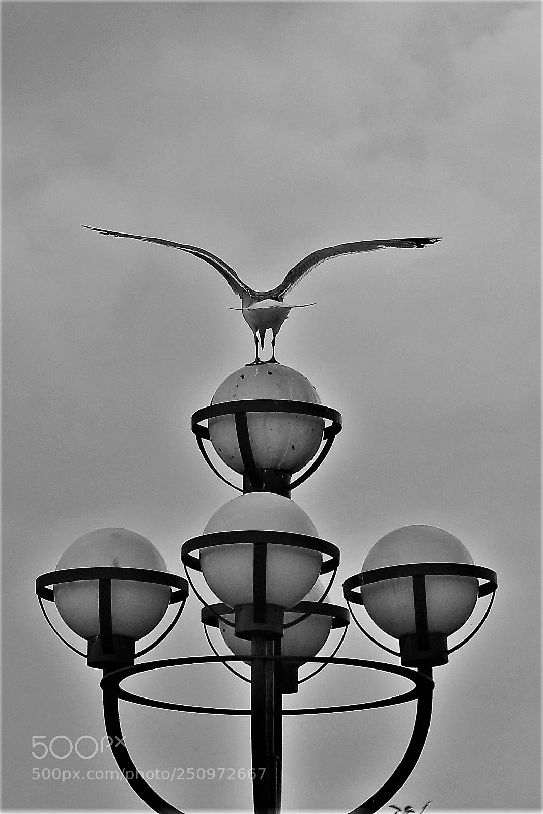 Canon EOS 100D (EOS Rebel SL1 / EOS Kiss X7) sample photo. Symmetry photography