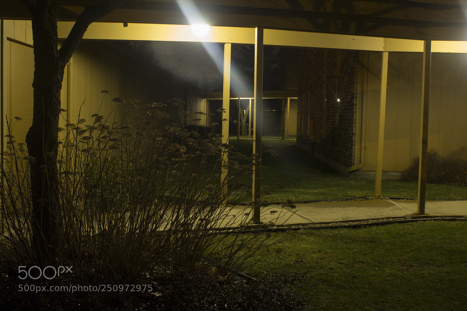Canon EOS 1200D (EOS Rebel T5 / EOS Kiss X70 / EOS Hi) sample photo. Living spaces at night photography