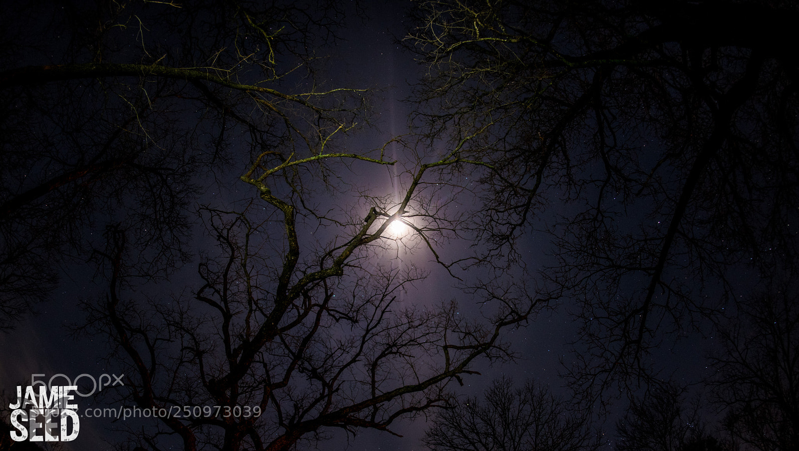 Nikon D750 sample photo. Midnight moonlight photography
