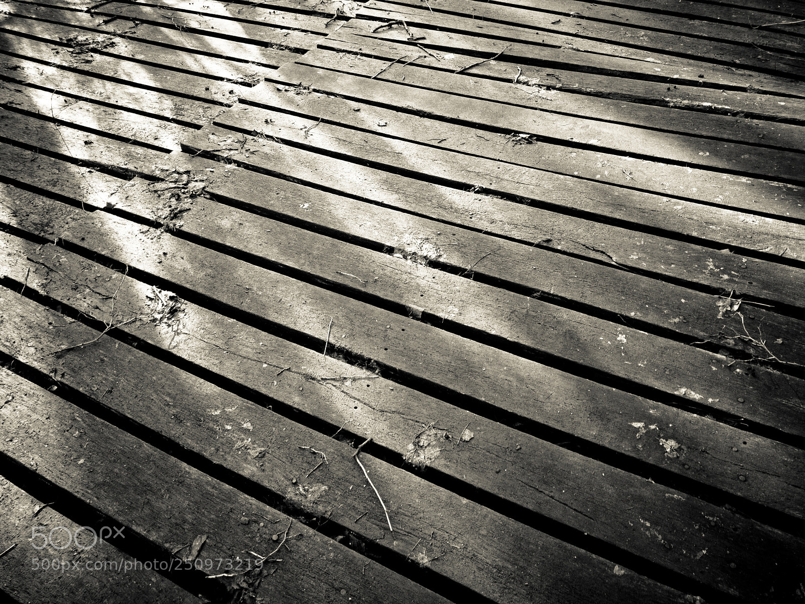 Apple iPhone 7 sample photo. Dirty and weathered wooden photography