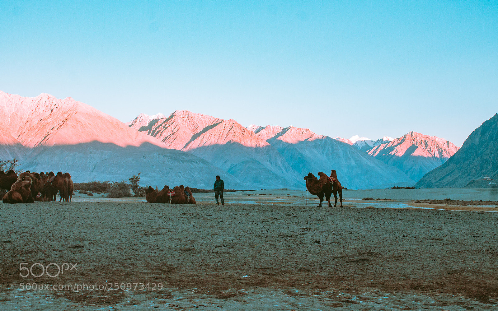 Canon EOS 1100D (EOS Rebel T3 / EOS Kiss X50) sample photo. Nubra valley at dusk photography