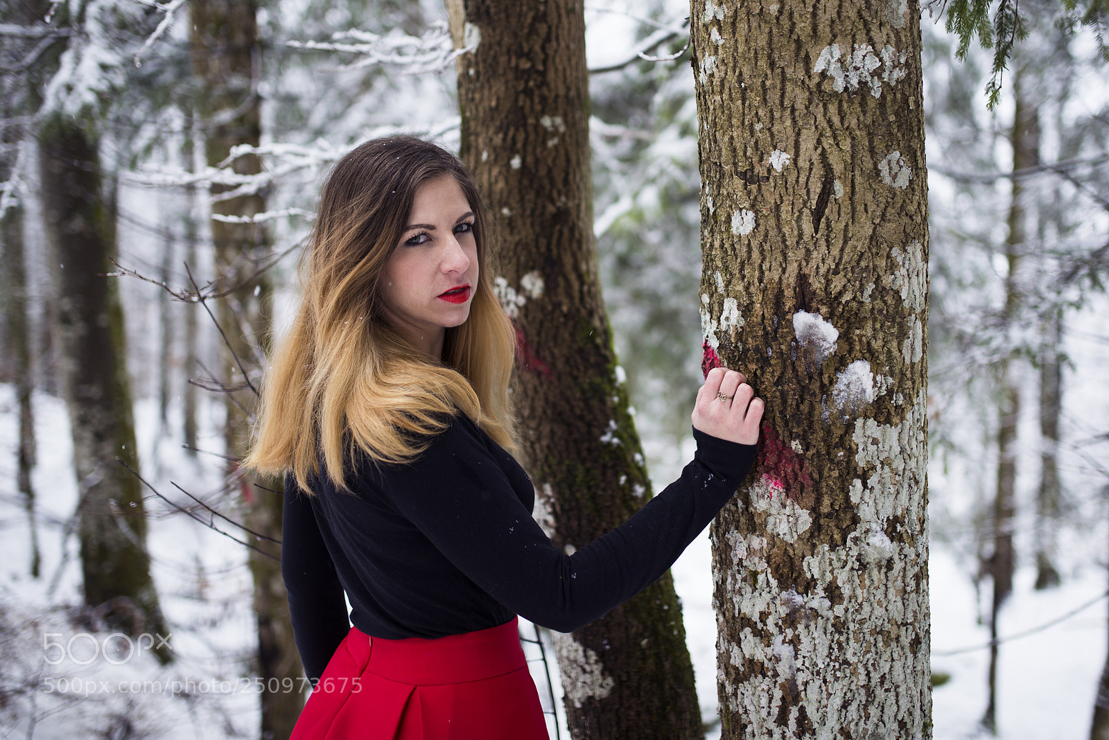 Nikon D610 sample photo. Reka photography