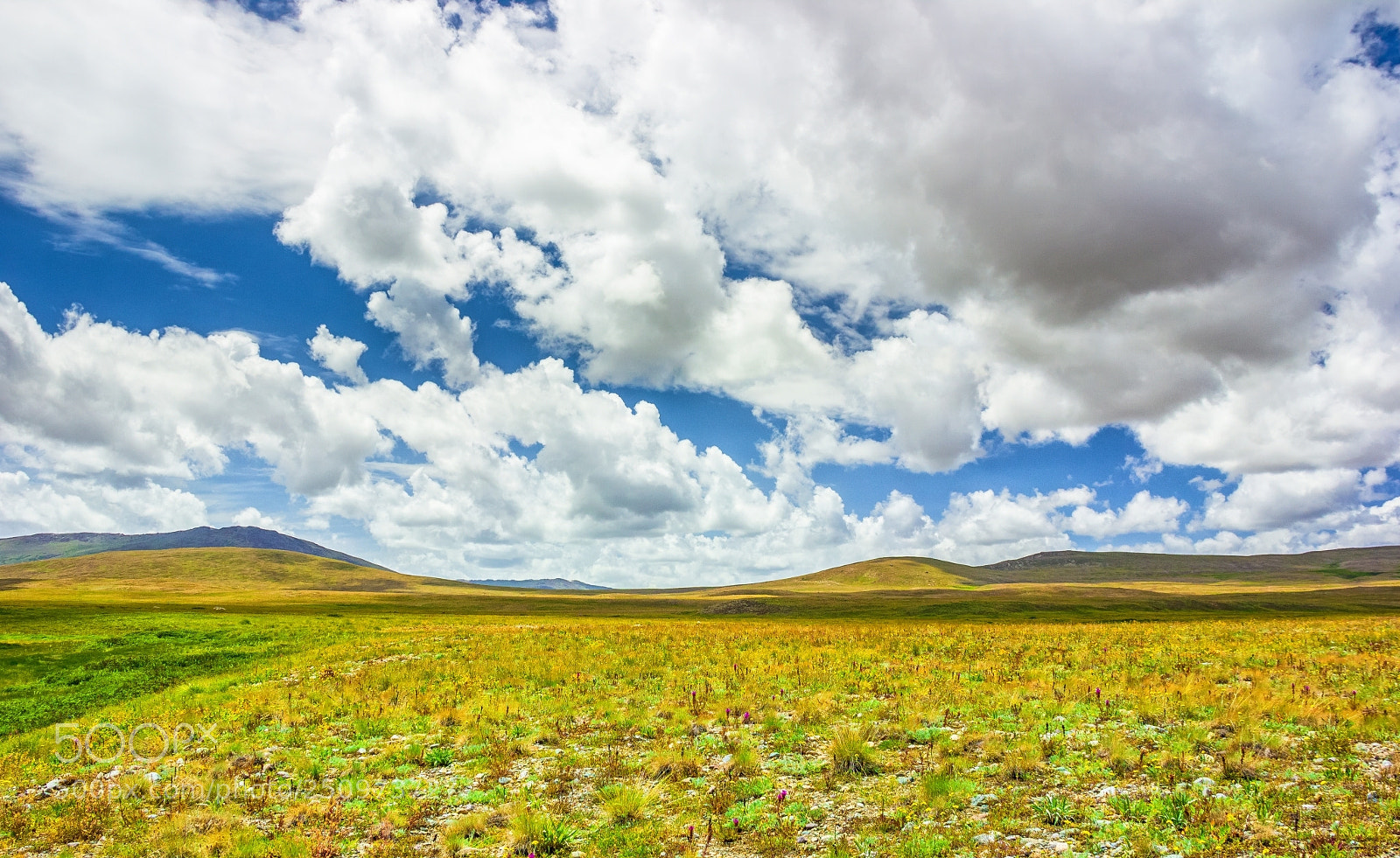 Canon EOS 550D (EOS Rebel T2i / EOS Kiss X4) sample photo. Deosai photography