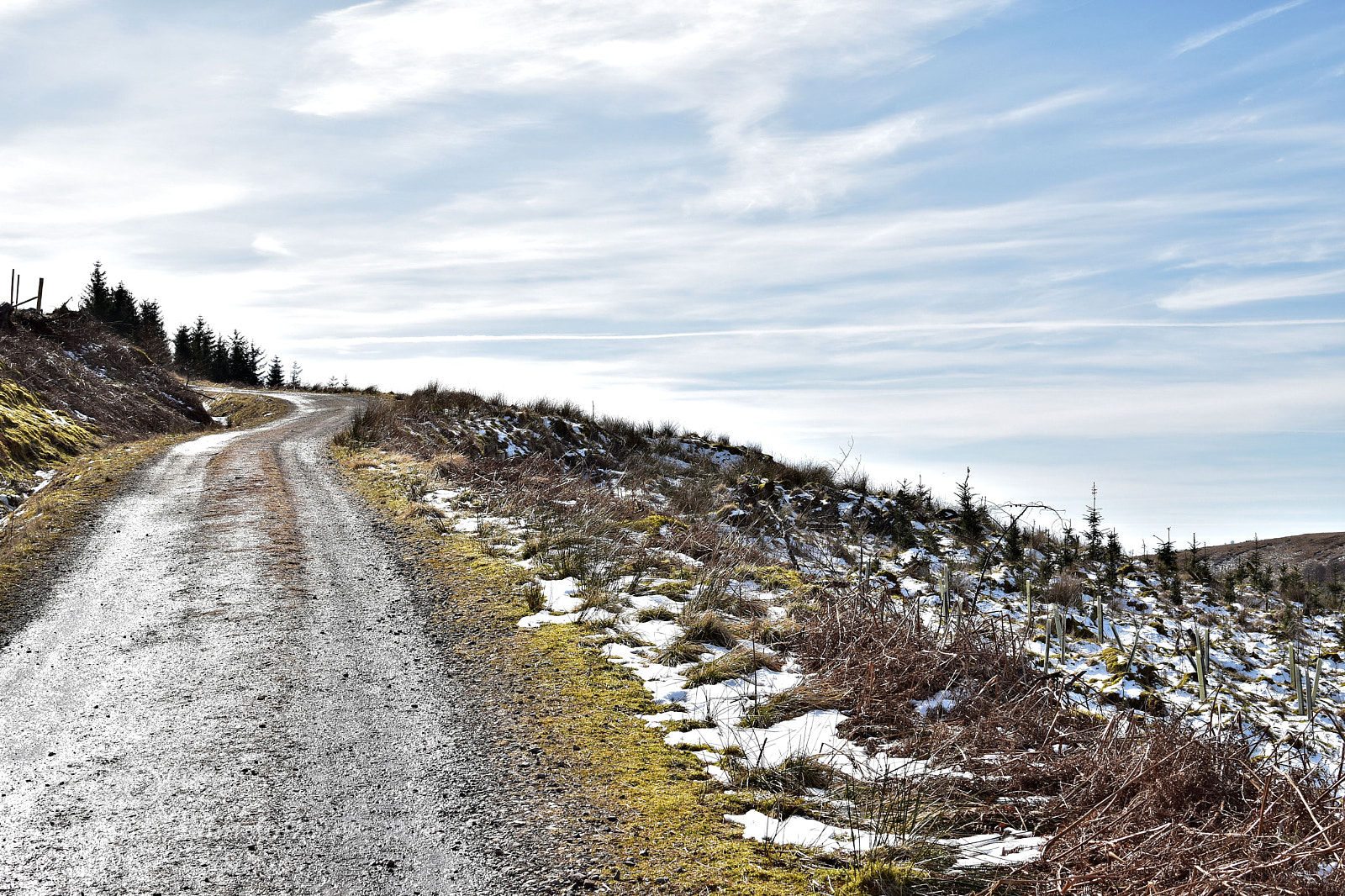 Nikon D5500 sample photo. Callander walks photography