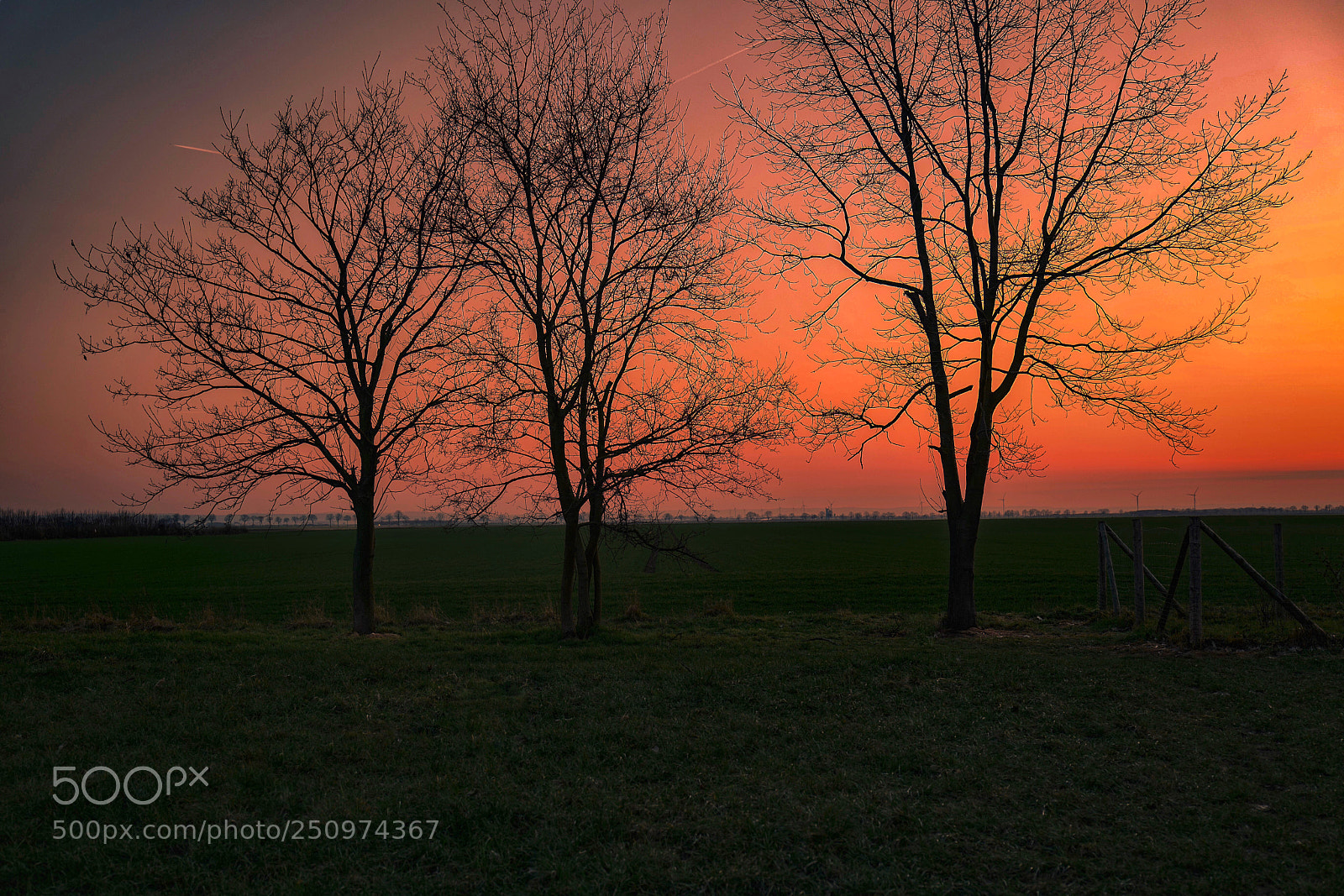 Leica SL (Typ 601) sample photo. Sunset photography