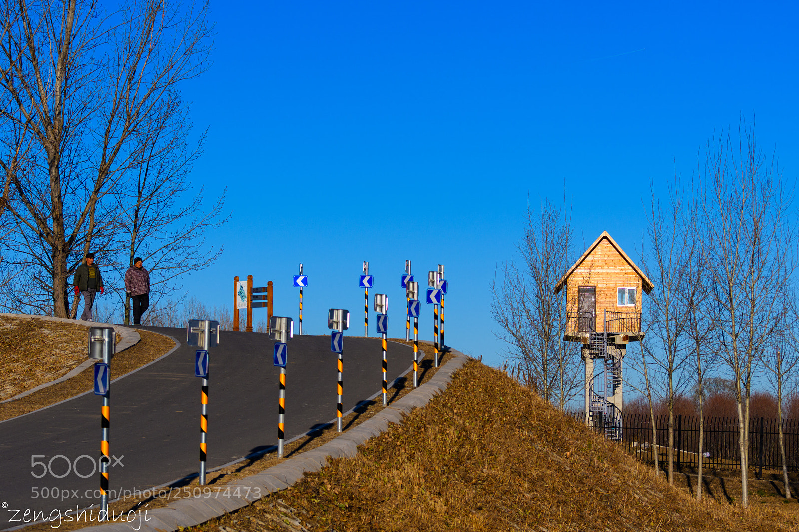 Nikon D500 sample photo. 散步 photography