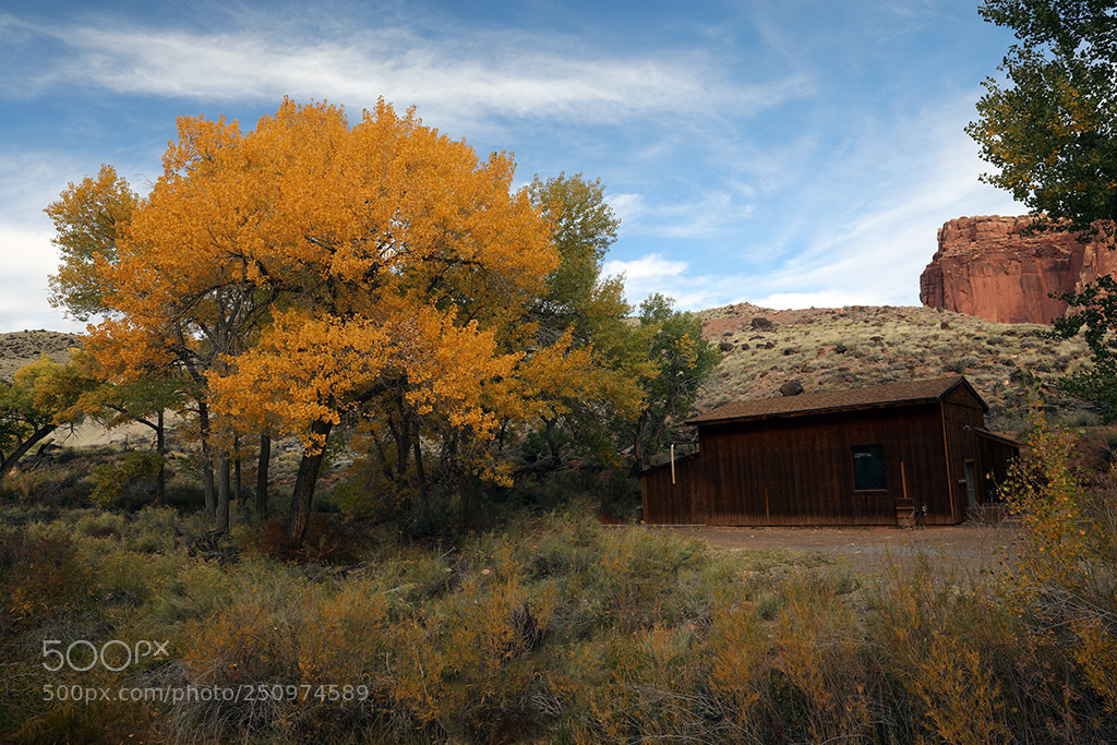 Canon EOS 5D Mark IV sample photo. October in capital reef photography