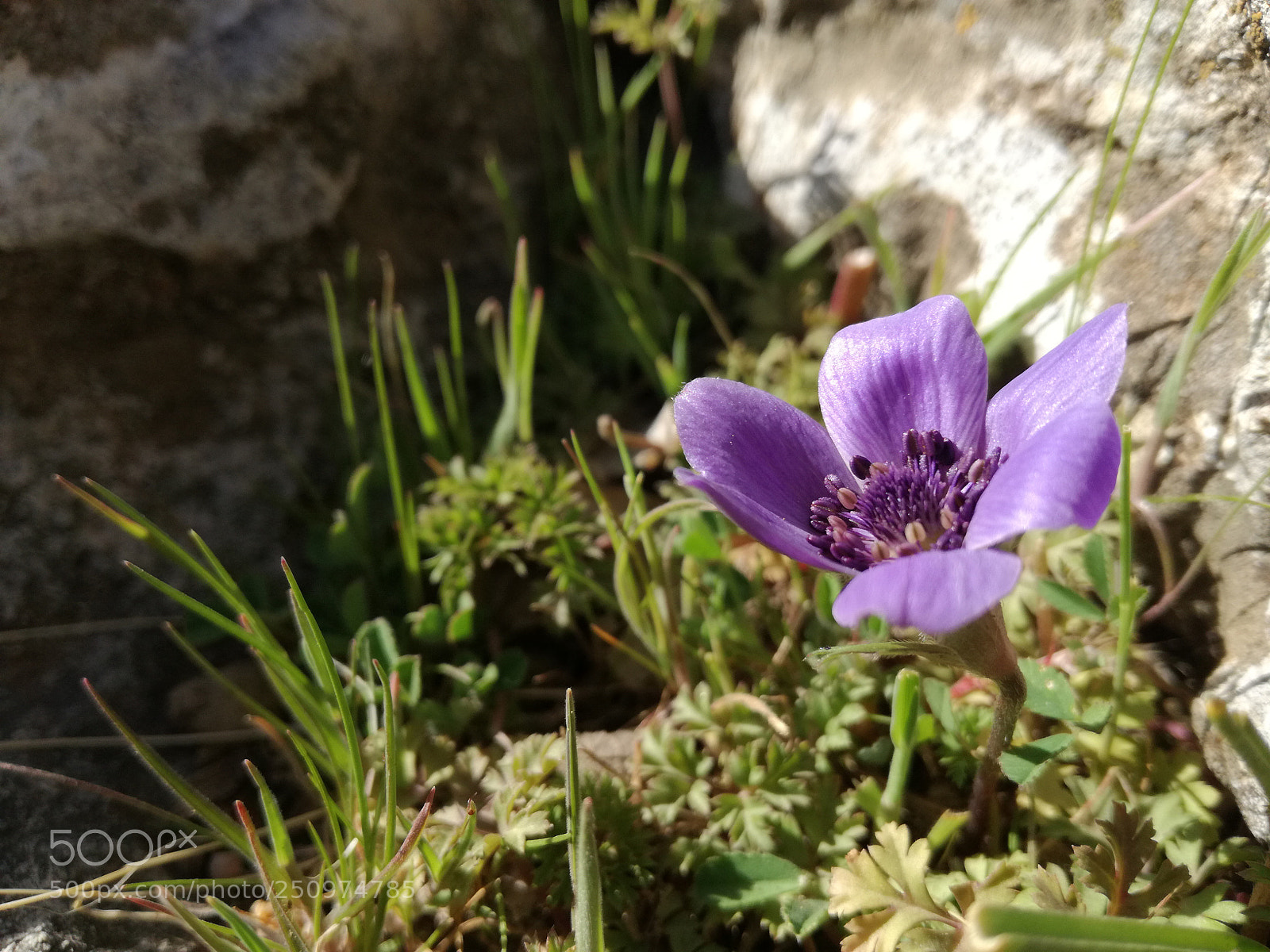 HUAWEI P9 LITE sample photo. Untitled photography