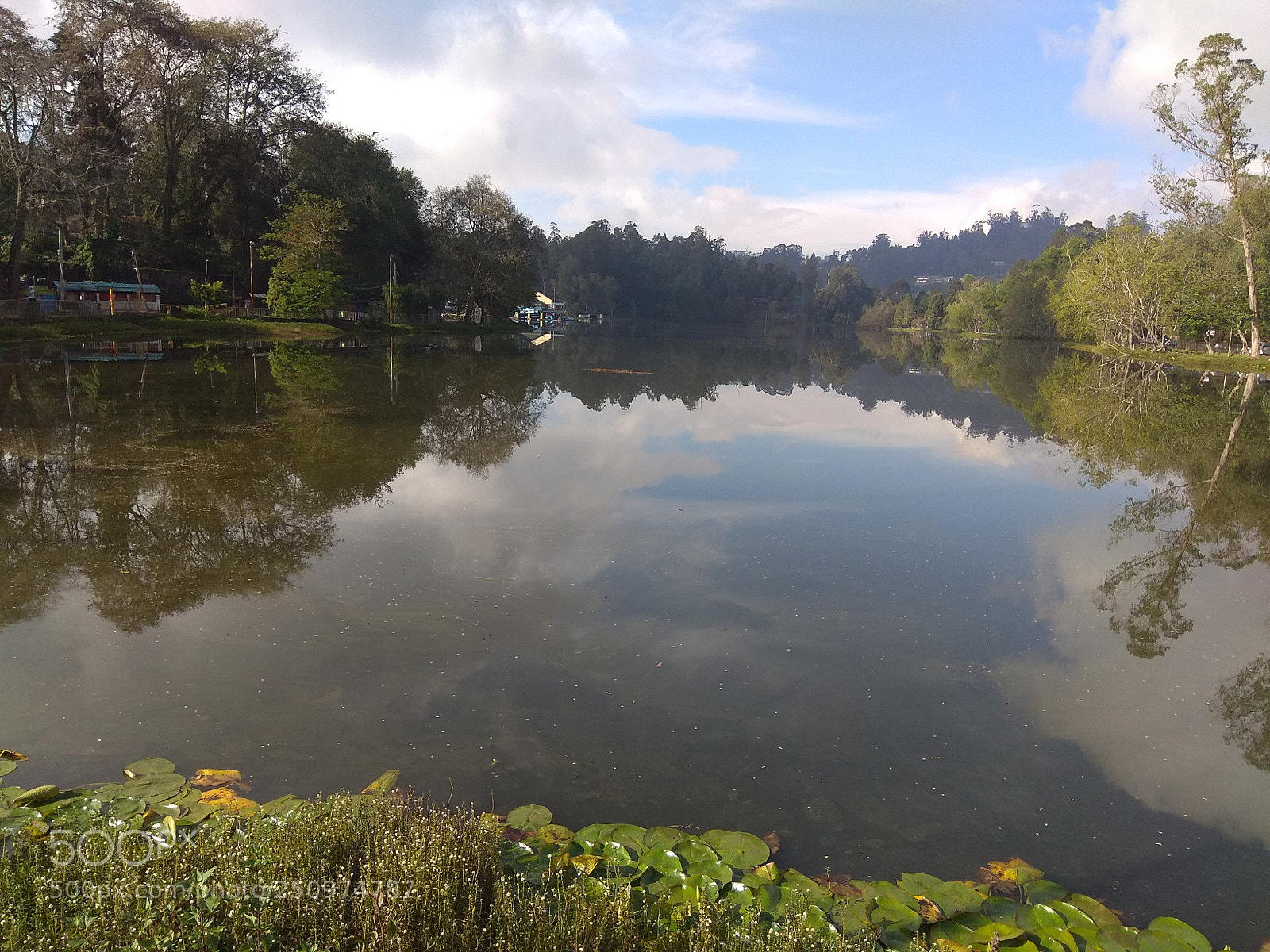 Xiaomi Redmi Note 4 sample photo. Untitled photography