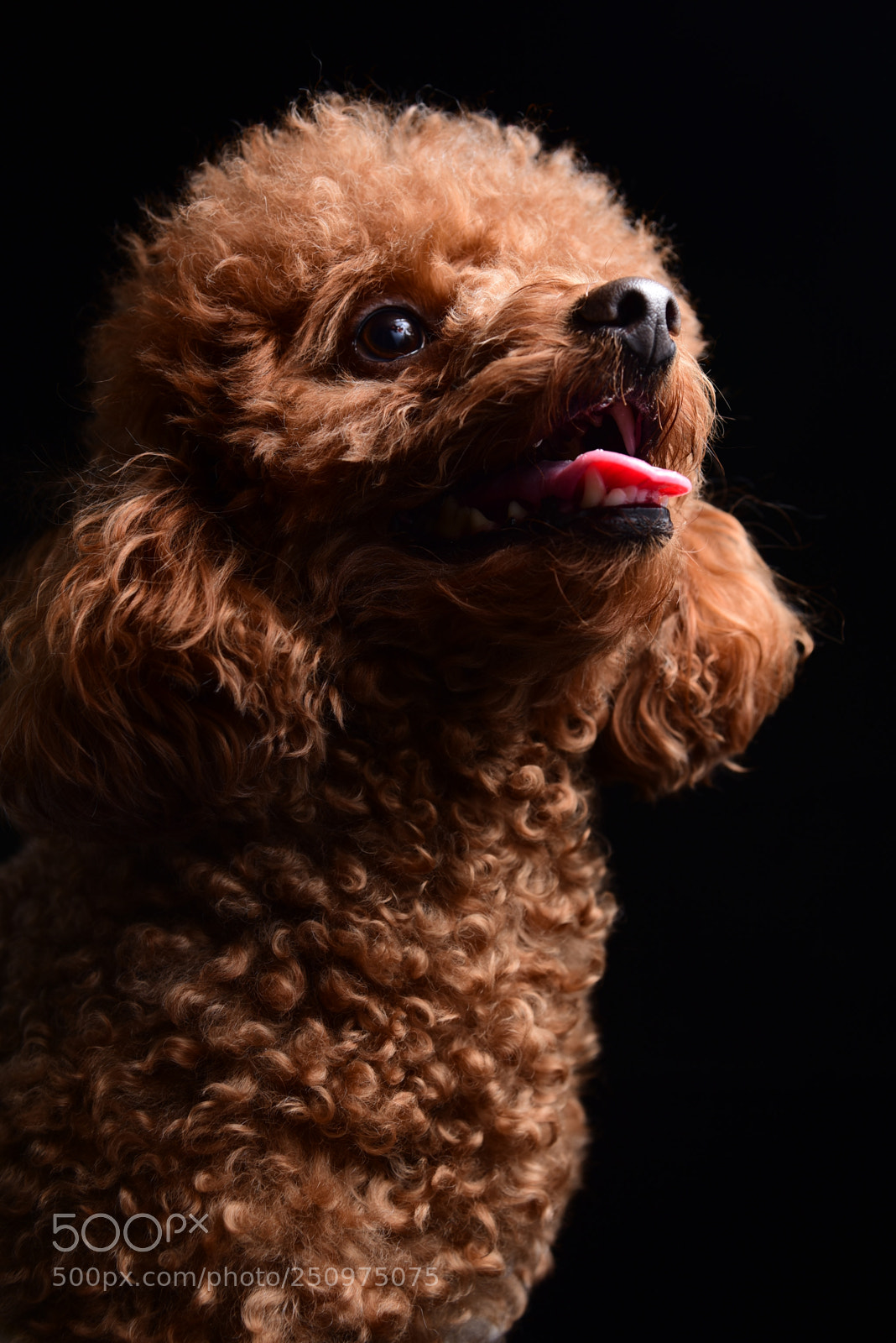 Nikon AF-S Nikkor 24-120mm F4G ED VR sample photo. Stock photography