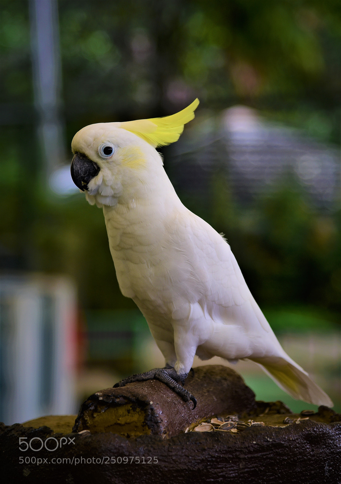 Nikon AF-S Nikkor 24-120mm F4G ED VR sample photo. Stock edited photography