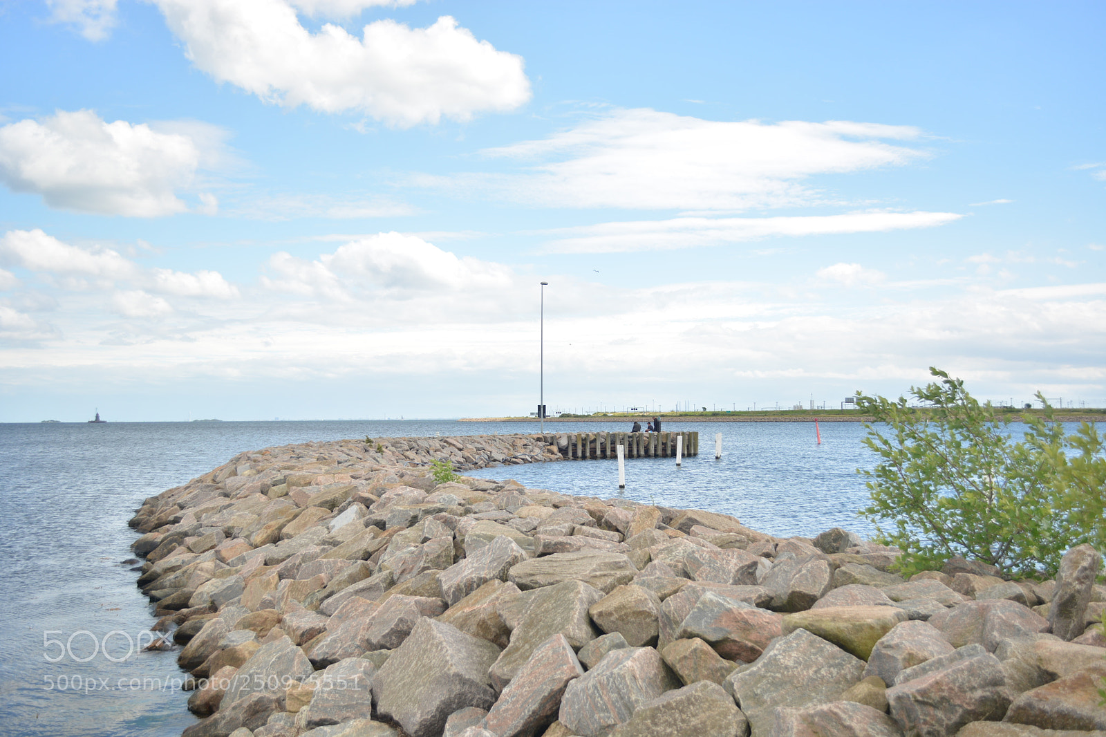 Nikon D5200 sample photo. Untitled photography