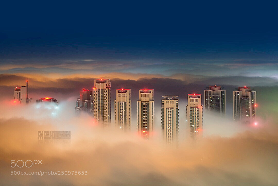 Nikon D800E sample photo. Abu dhabi fog photography