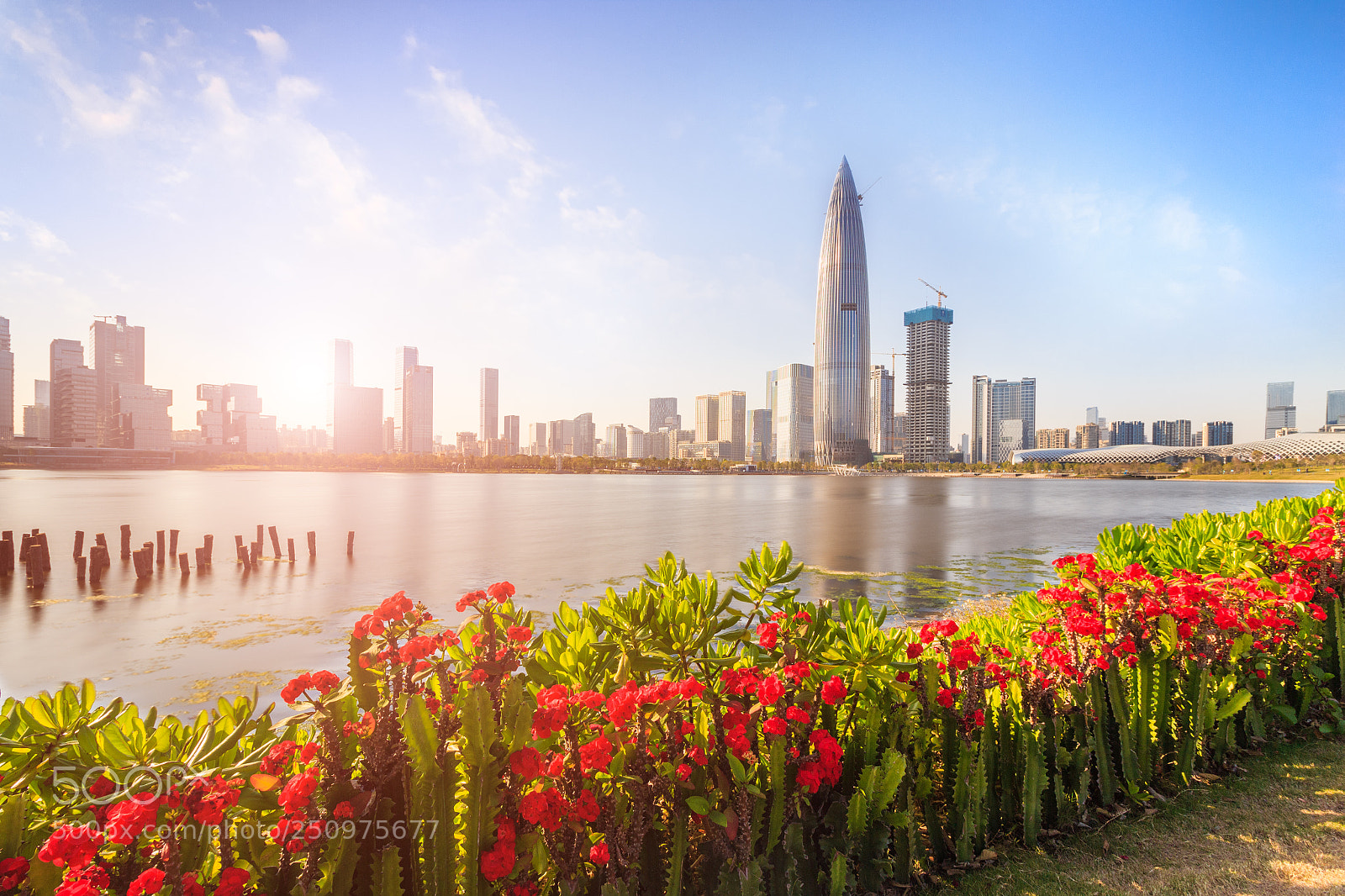 Canon EOS 600D (Rebel EOS T3i / EOS Kiss X5) sample photo. Shenzhen skyline photography