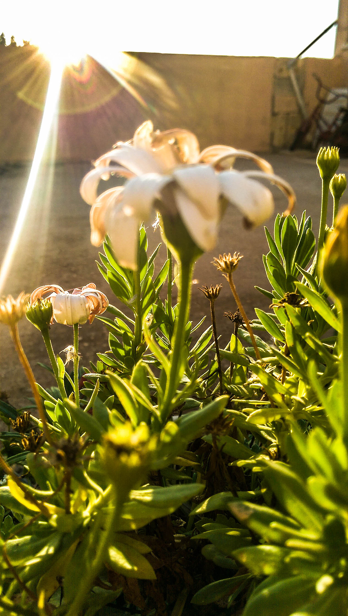HTC ONE M8 sample photo