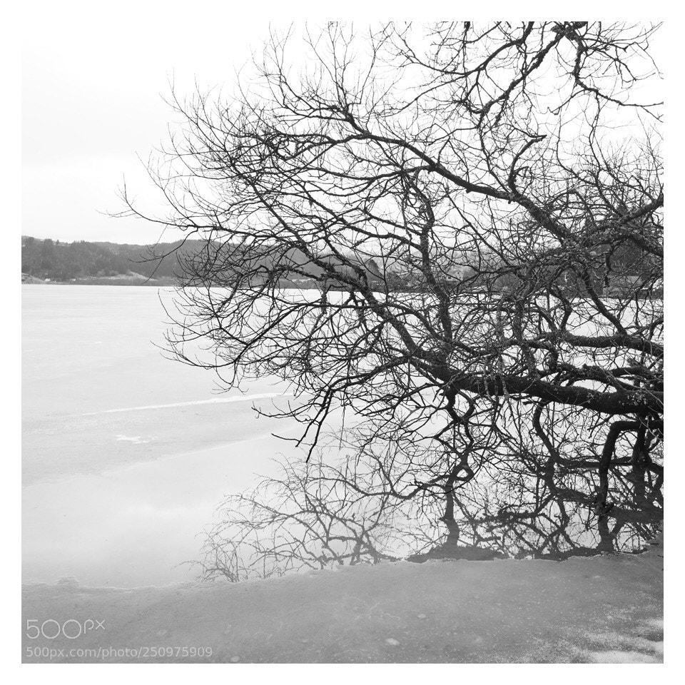 Nikon D800 sample photo. Melting ice on the photography