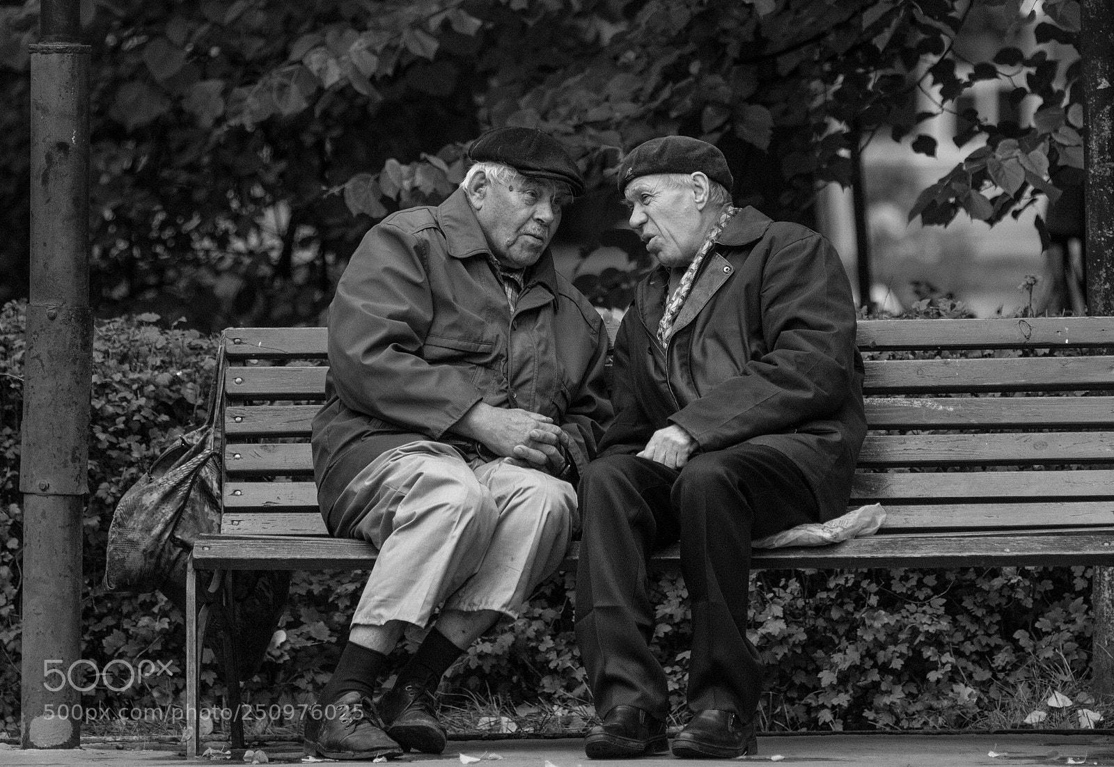 Canon EOS 70D sample photo. Sokolniki park photography