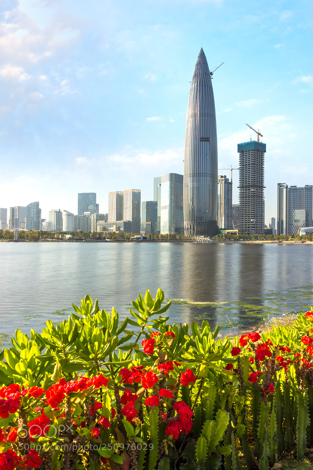 Canon EOS 600D (Rebel EOS T3i / EOS Kiss X5) sample photo. Shenzhen bay urban skyline photography