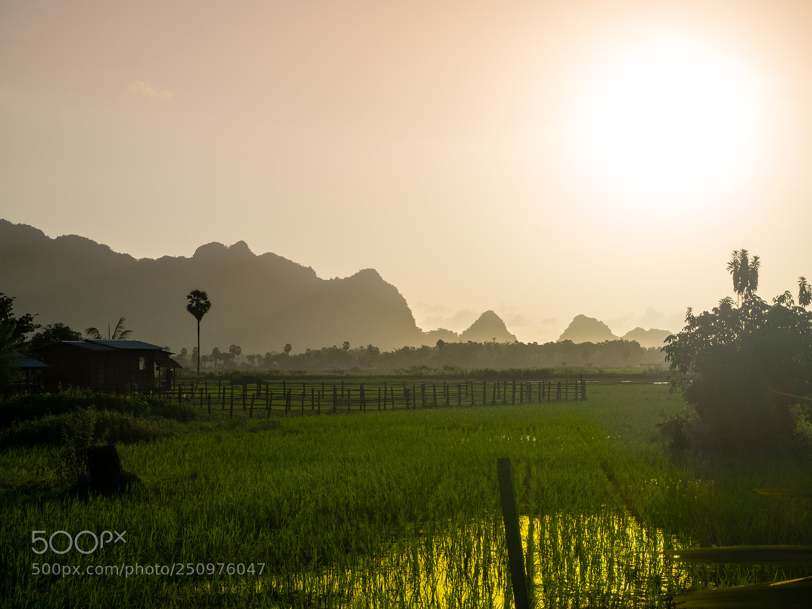 Olympus OM-D E-M10 sample photo. Myanmar bike photography