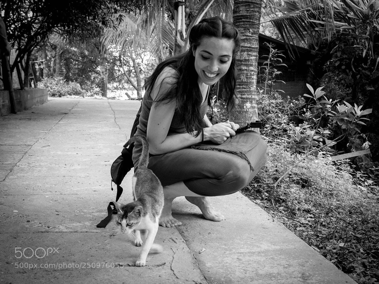 Olympus OM-D E-M10 sample photo. Cats everywhere photography