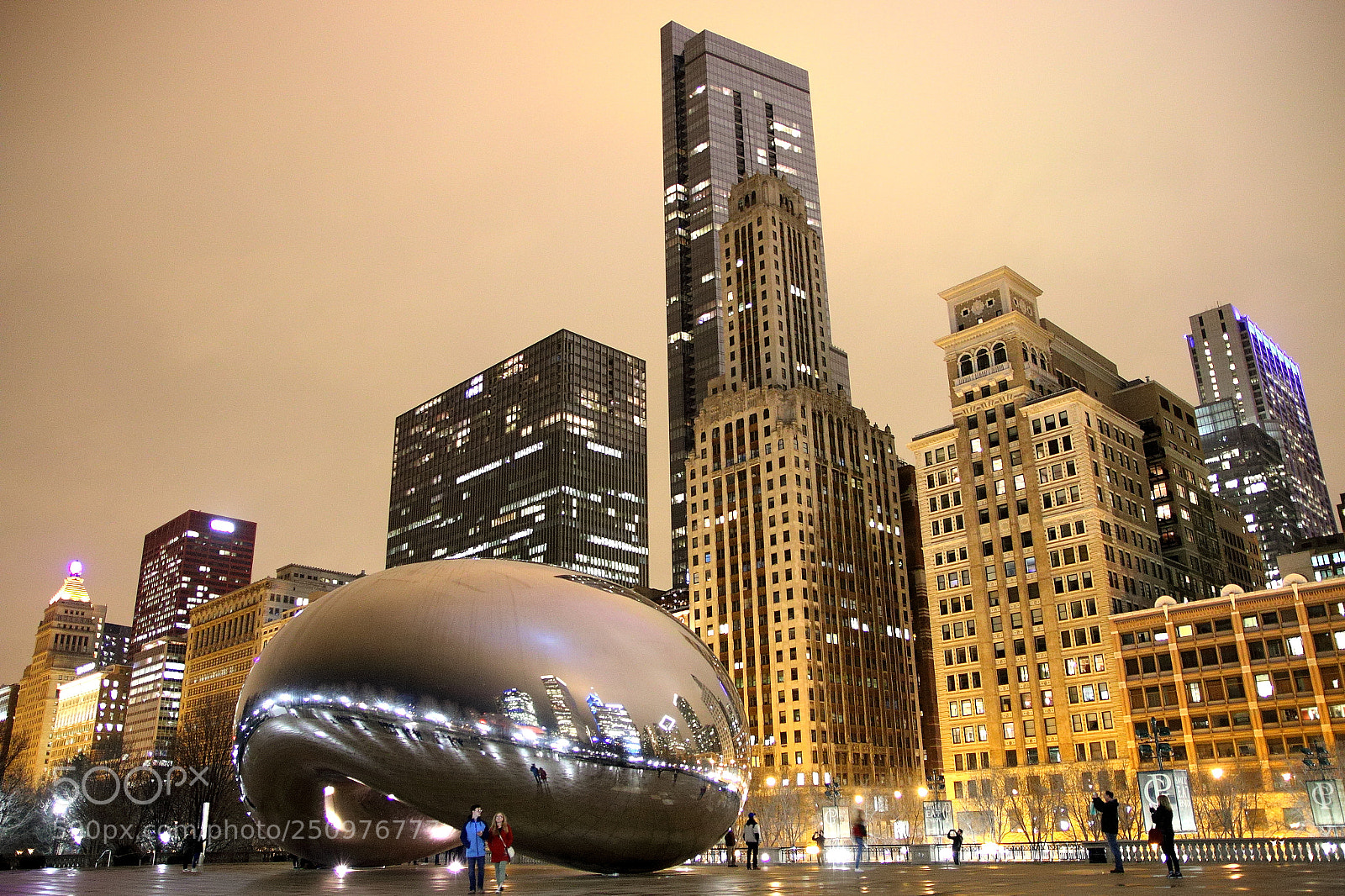 Canon EOS 70D sample photo. That awesome bean . photography
